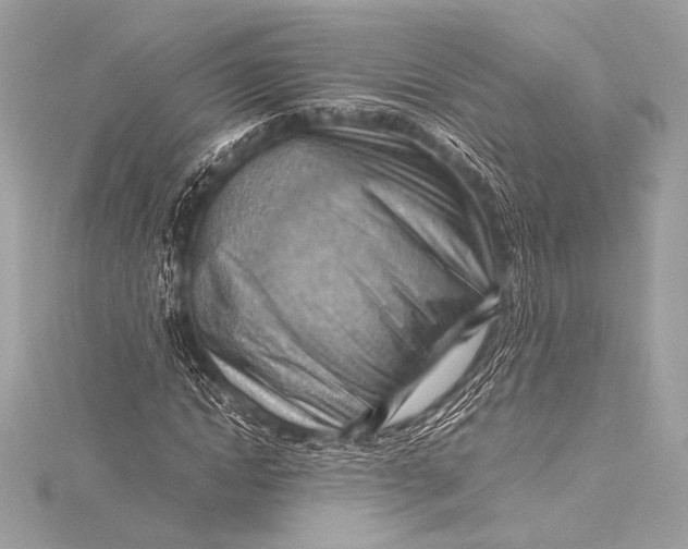 X0000115800822200912041532