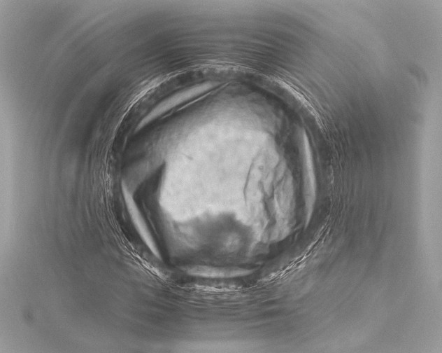 X0000115800823200912041532