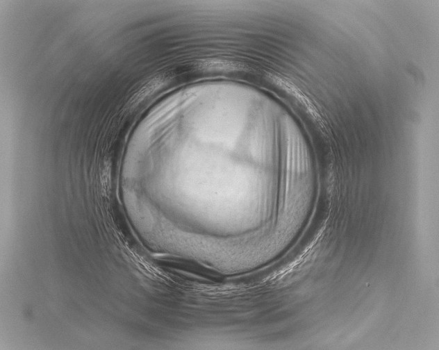 X0000115800825200912041532