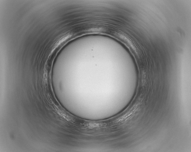 X0000115800827200912041532