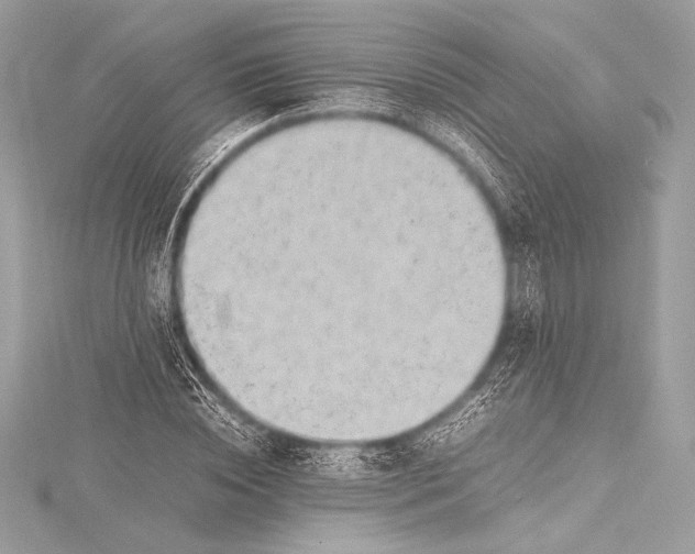 X0000115800828200912041532