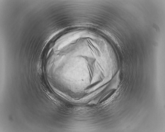 X0000115800830200912041532