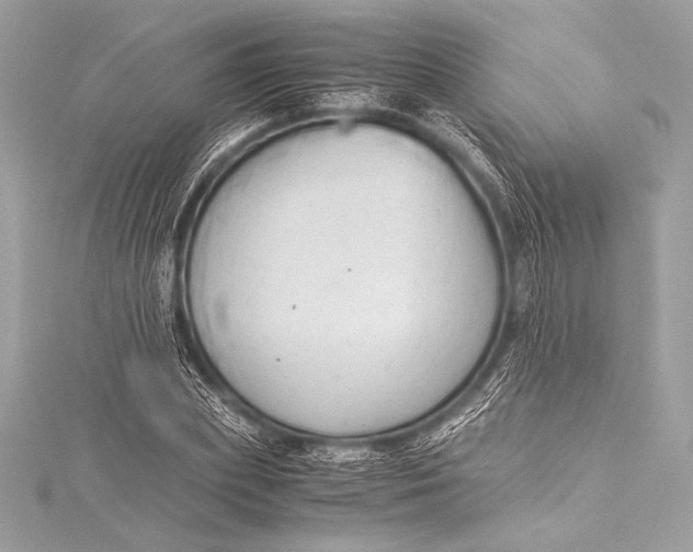 X0000115800831200912041532