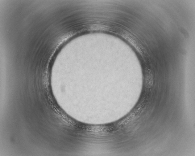 X0000115800832200912041532