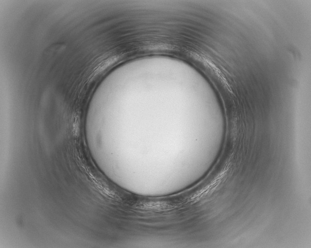 X0000115800833200912041532