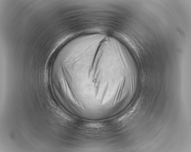 X0000115800835200912041532