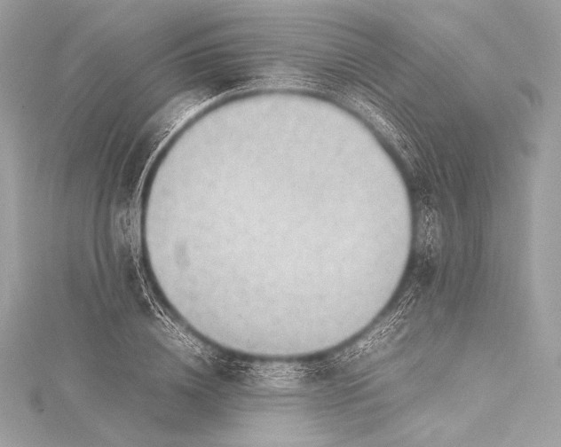 X0000115800836200912041532