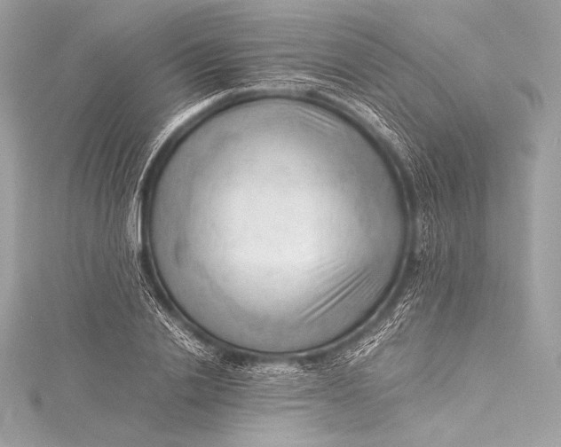 X0000115800838200912041532