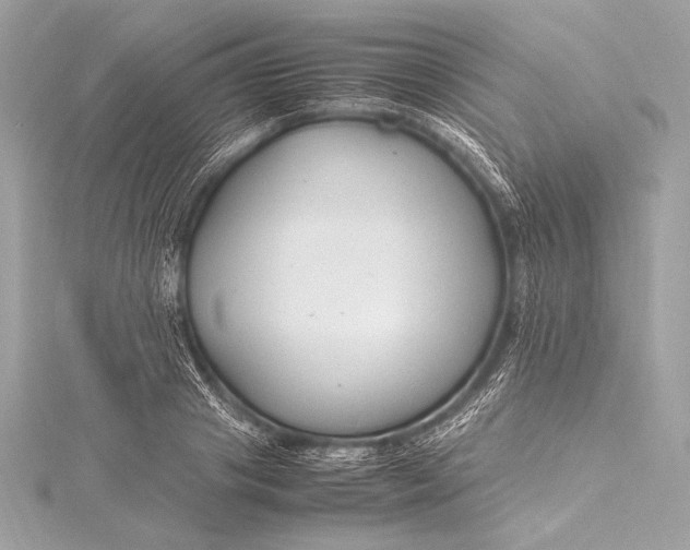 X0000115800841200912041532