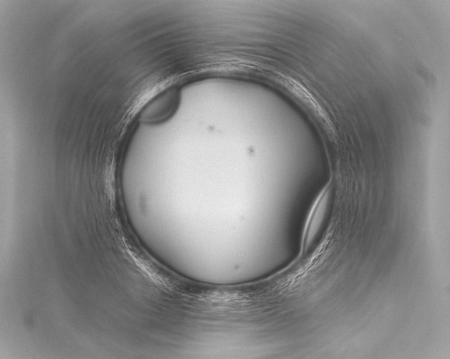 X0000115800842200912041532