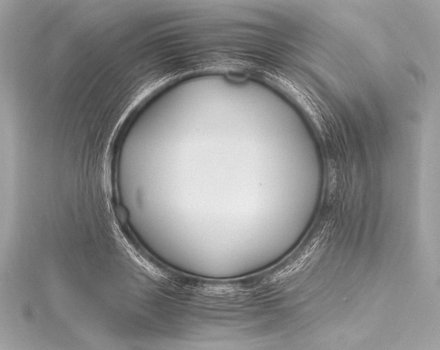 X0000115800843200912041532