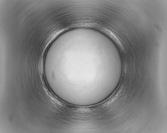 X0000115800844200912041532