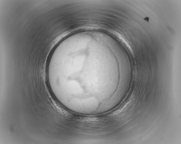 X0000115800845200912041532