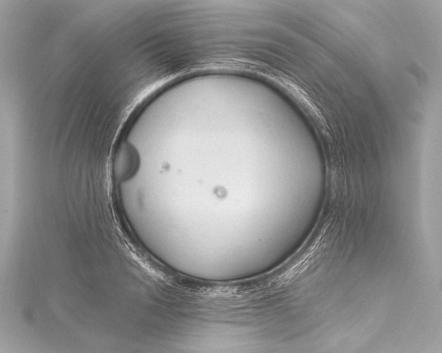 X0000115800846200912041532