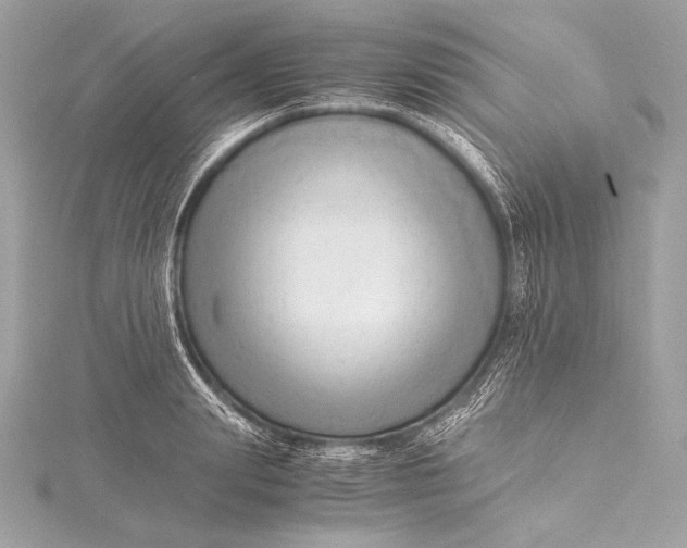 X0000115800847200912041532