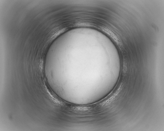 X0000115800849200912041532