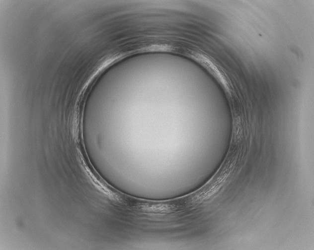 X0000115800851200912041532