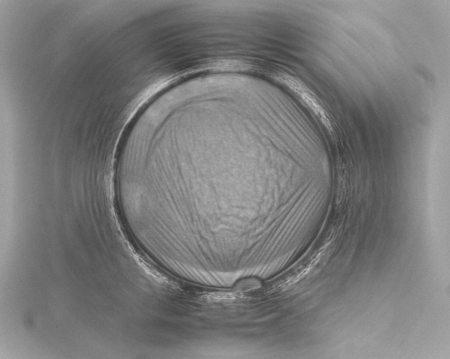 X0000115800853200912041532