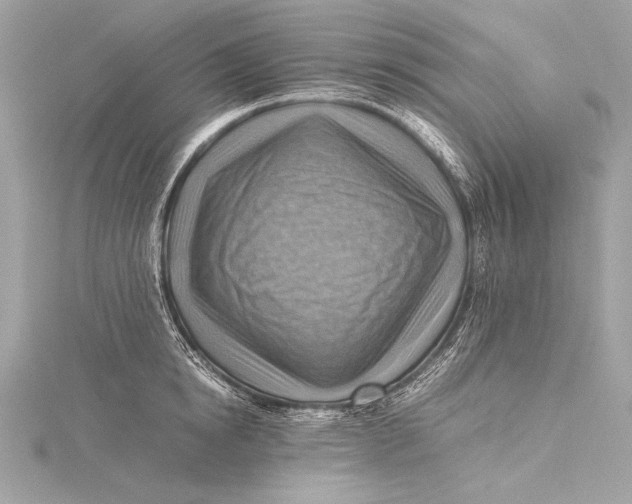 X0000115800854200912041532