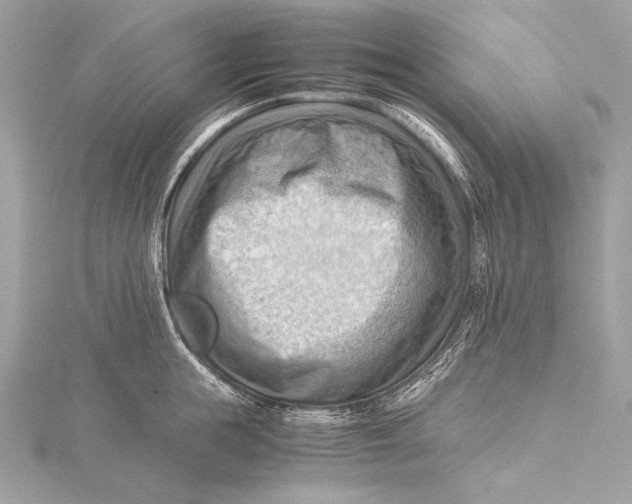 X0000115800855200912041532