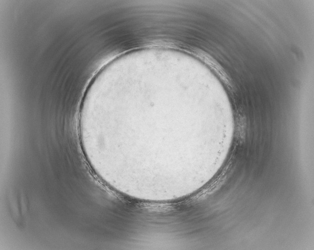 X0000115800856200912041532