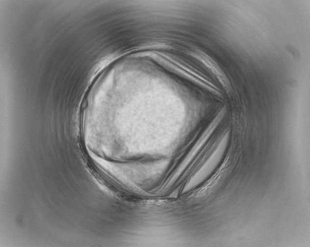 X0000115800858200912041532