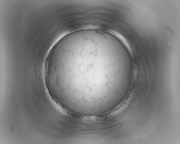 X0000115800859200912041532