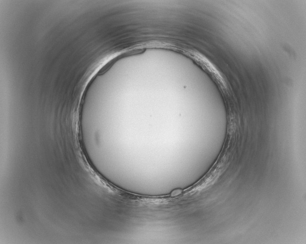 X0000115800860200912041532