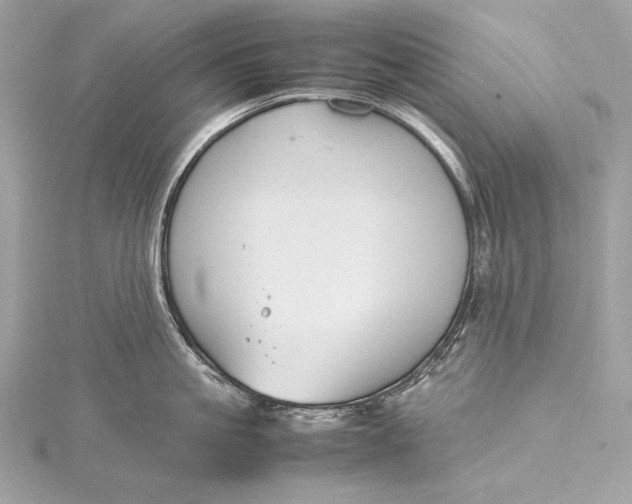 X0000115800861200912041532