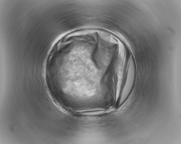 X0000115800862200912041532