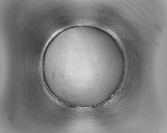 X0000115800864200912041532