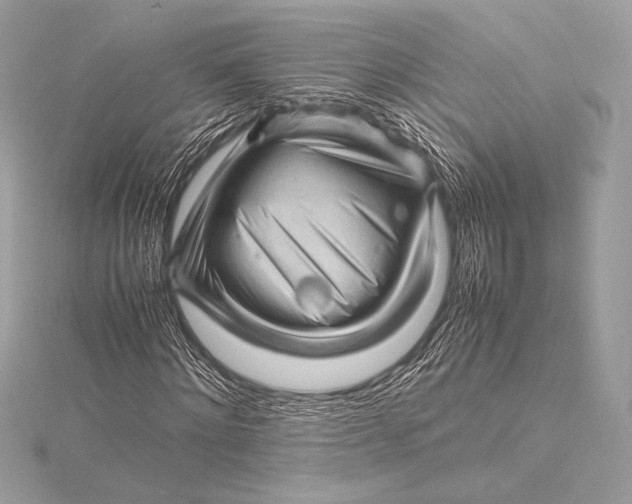 X0000115800868200912041532