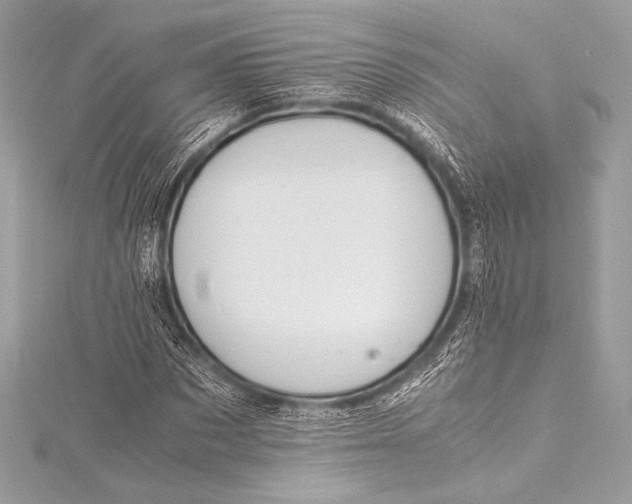 X0000115800873200912041532