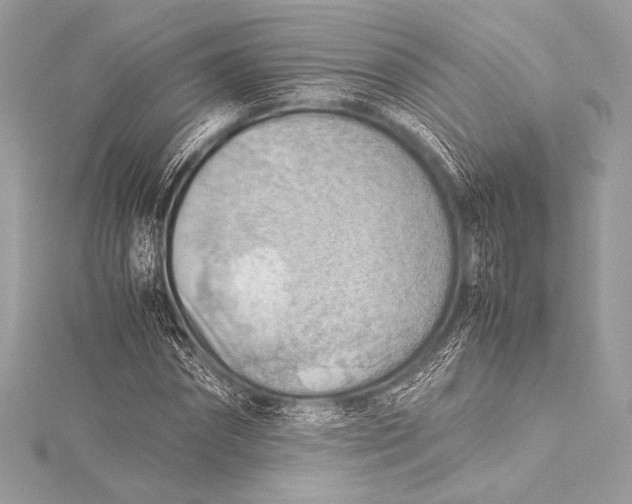 X0000115800874200912041532