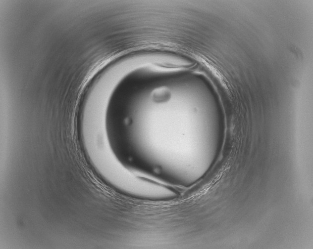 X0000115800877200912041532