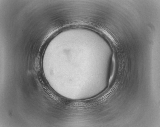 X0000115800878200912041531