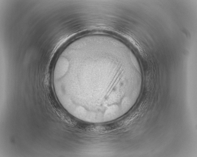 X0000115800879200912041531