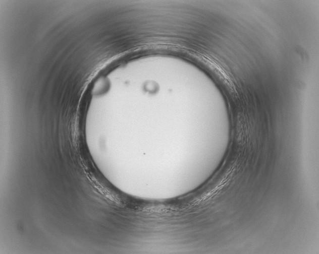 X0000115800880200912041531