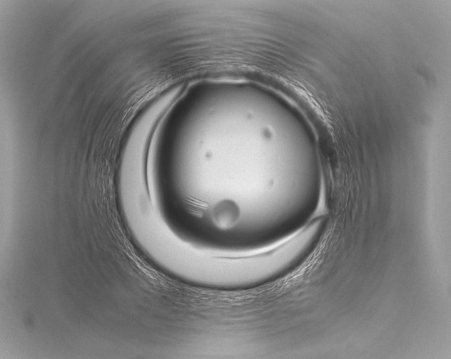 X0000115800881200912041531