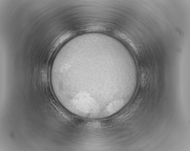 X0000115800882200912041531