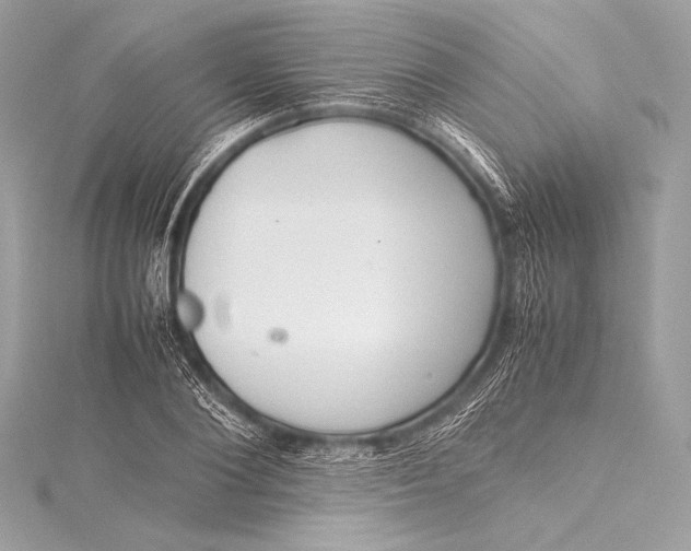 X0000115800884200912041531