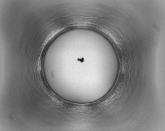 X0000115800885200912041531