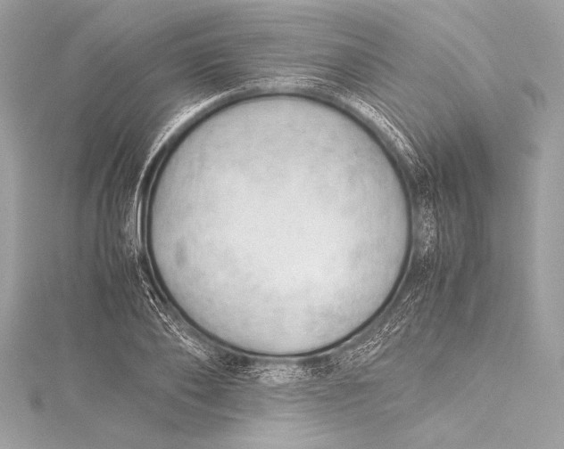 X0000115800886200912041531