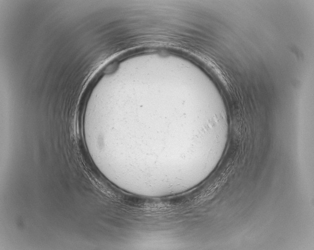 X0000115800887200912041531