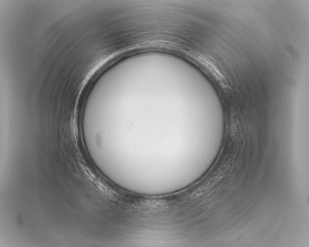 X0000115800888200912041531