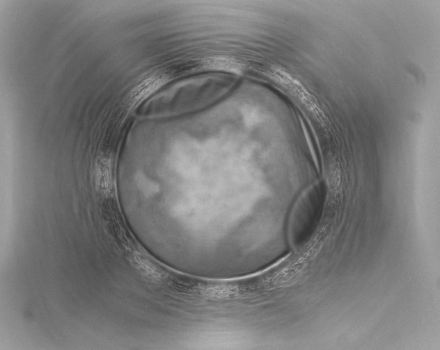 X0000115800889200912041531