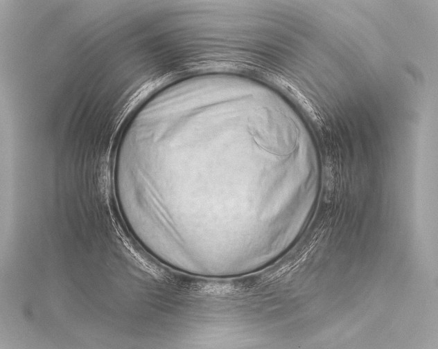 X0000115800890200912041531