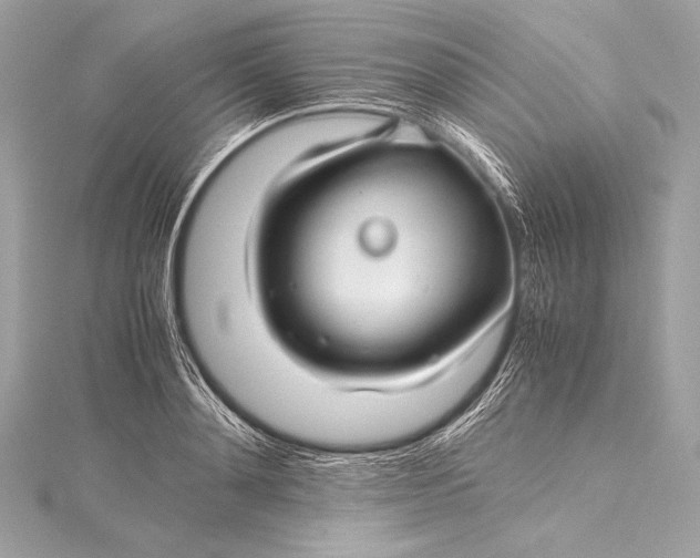 X0000115800892200912041531