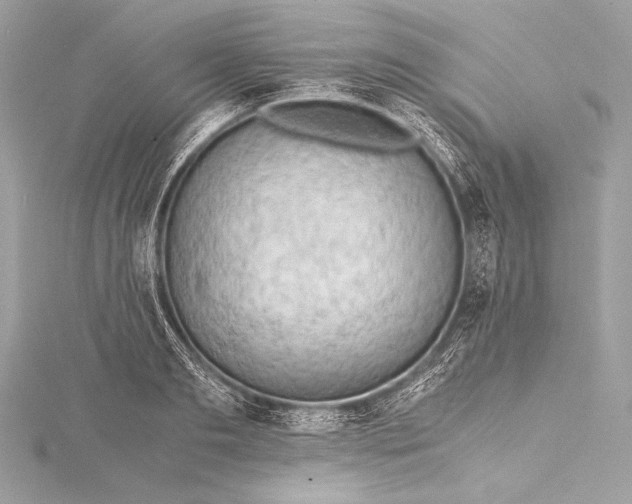 X0000115800893200912041531