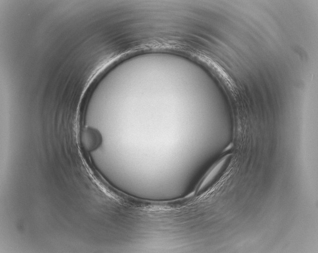 X0000115800894200912041531